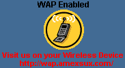 Visit us on your Wireless Device at http://wap.amexsux.com